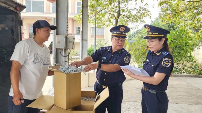 cai cach thu tuc hai quan nang suc canh tranh cua nen kinh te