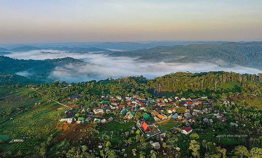 Gia Lai xúc tiến phê duyệt dự án ODA về phục hồi, phát triển rừng bền vững Gia Lai xúc tiến phê duyệt dự án ODA về phục hồi, phát triển rừng bền vững
