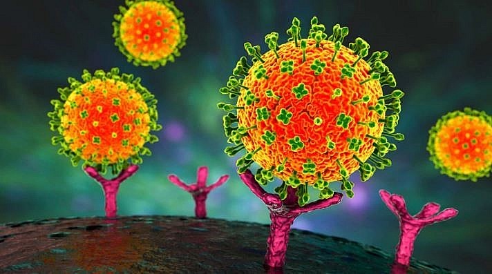 Việt Nam chưa ghi nhận trường hợp mắc bệnh do virus Nipah