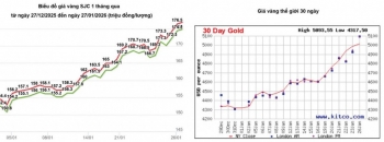 Giá vàng chịu tác động trước ngã rẽ của dòng vốn và ẩn số chênh lệch giá