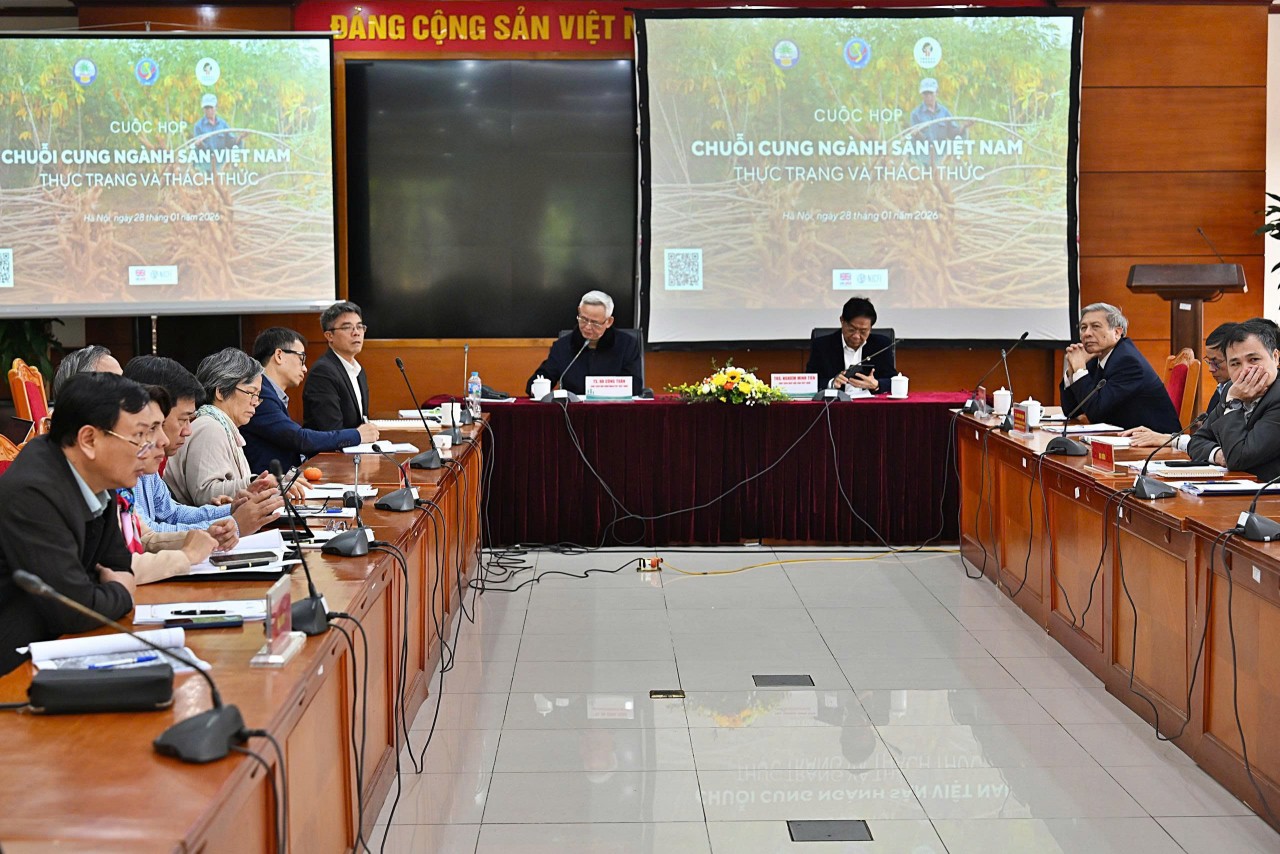 Thúc đẩy truy xuất nguồn gốc sắn, đáp ứng yêu cầu của thị trường quốc tế