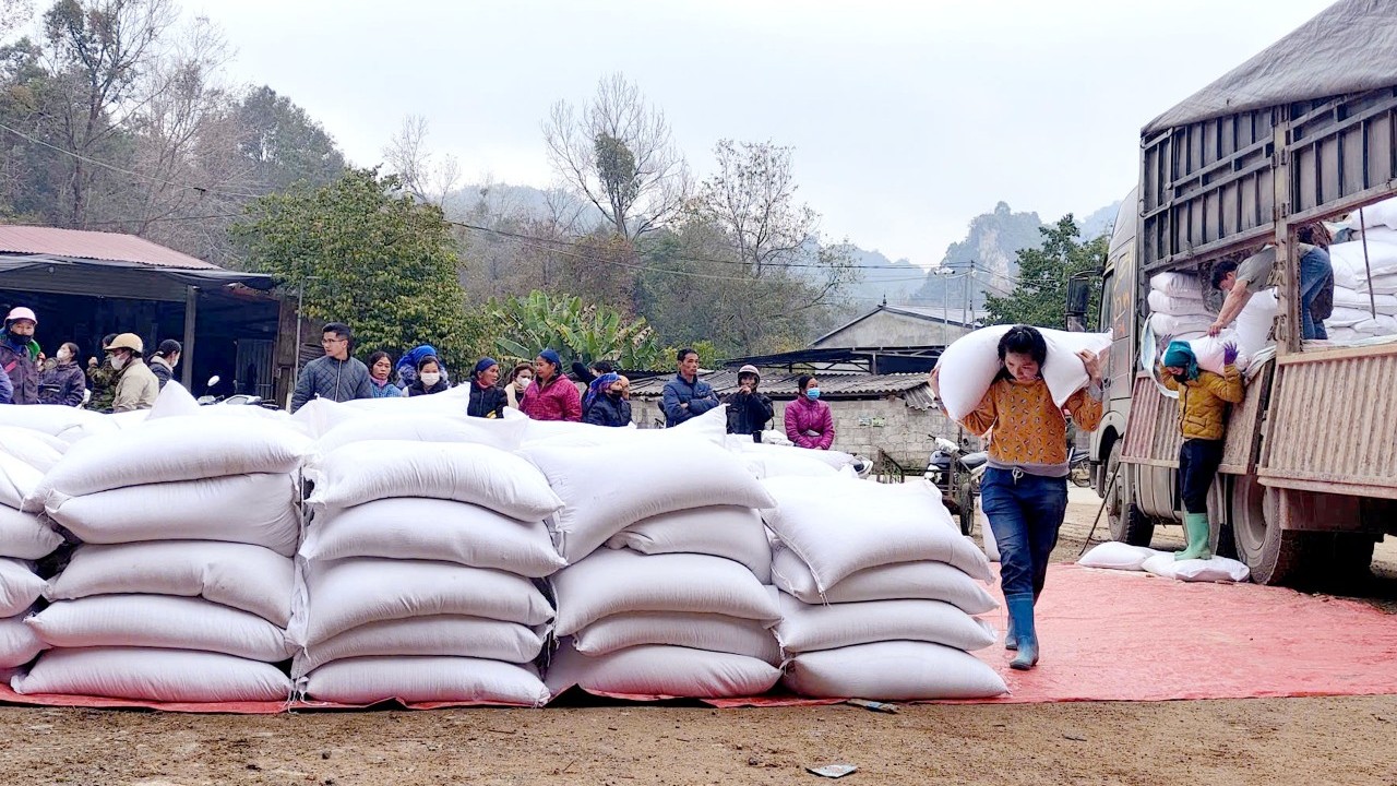 Hoàn thành xuất cấp hơn 810 tấn gạo hỗ trợ nhân dân tỉnh Cao Bằng dịp Tết Nguyên đán 2026