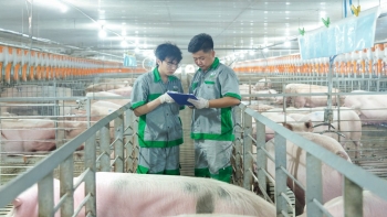 BAF vững vàng trước biến động, hướng tới kỷ lục lợi nhuận năm 2026