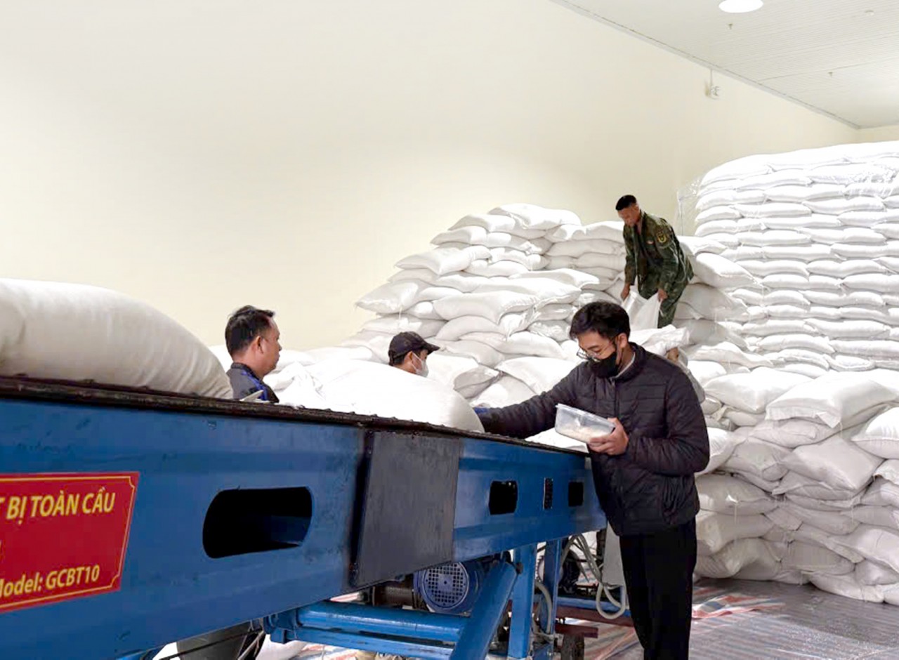 Kịp thời xuất cấp hơn 729 tấn gạo hỗ trợ nhân dân tỉnh Tuyên Quang dịp Tết Bính Ngọ 2026