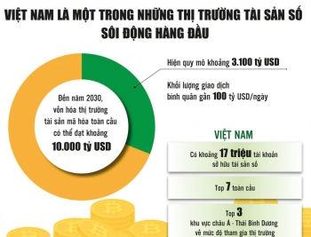 Hoàn thiện khung pháp lý tài sản mã hoá, bảo vệ nhà đầu tư