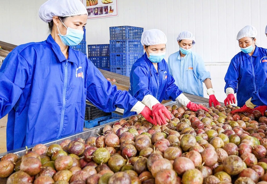 xuat khau rau qua che bien lan dau vuot 2 ty usd