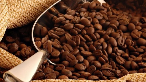 Ngày 4/2: Giá cà phê giảm mạnh, hồ tiêu neo cao ở mức 152.000 đồng/kg