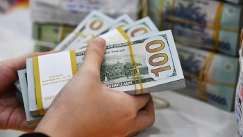 Tỷ giá USD hôm nay (5/2): Ngân hàng thương mại giảm, "chợ đen" rục rịch đảo chiều tăng