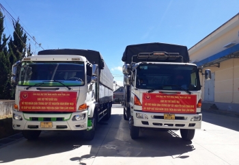 Gần 14.000 hộ dân ở Lâm Đồng đã nhận hơn 701 tấn gạo dự trữ quốc gia dịp Tết Bính Ngọ