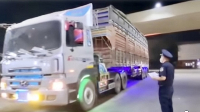 Cục Hải quan yêu cầu ưu tiên thông quan nhanh các lô hàng thực phẩm nhập khẩu