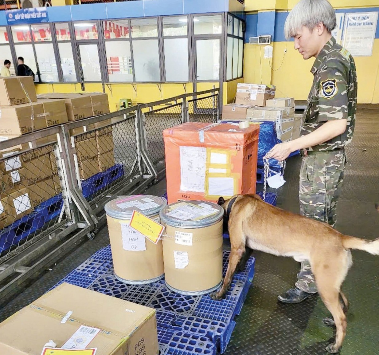 hai quan tuyen phong thu vung chac chong toi pham ma tuy xuyen quoc gia
