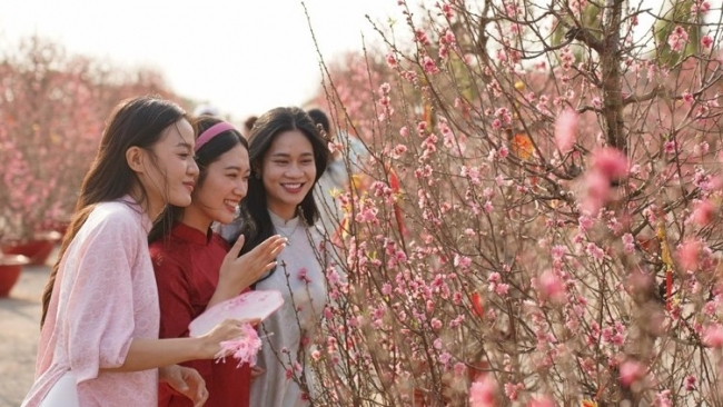 TP. Hồ Chí Minh: Sôi động chuỗi “lễ hội trong lễ hội” chào Xuân 2026