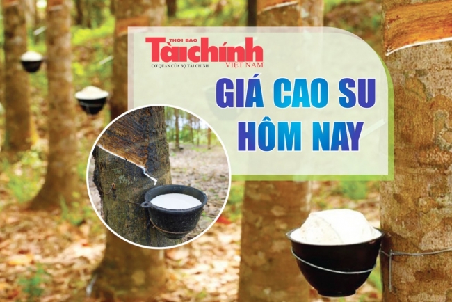 Ngày 9/2: Giá cao su trên các sàn giao dịch chủ chốt tiếp tục tăng - giảm trái chiều