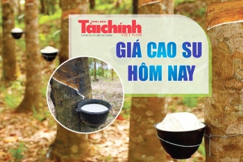 Ngày 9/2: Giá cao su trên các sàn giao dịch chủ chốt tiếp tục tăng - giảm trái chiều