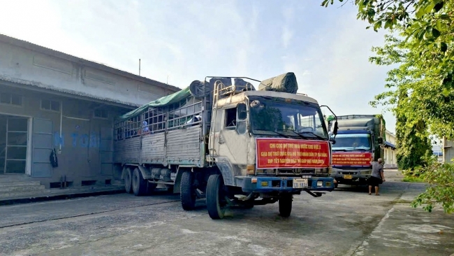 Xuất cấp hơn 1.685 tấn gạo dự trữ hỗ trợ nhân dân Đà Nẵng, An Giang dịp Tết Bính Ngọ