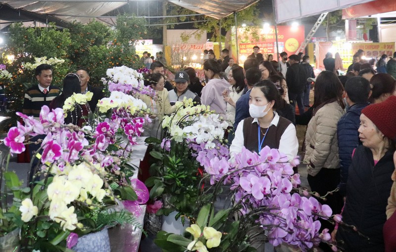 Nguồn cung dồi dào, kiểm soát chặt để bình ổn giá