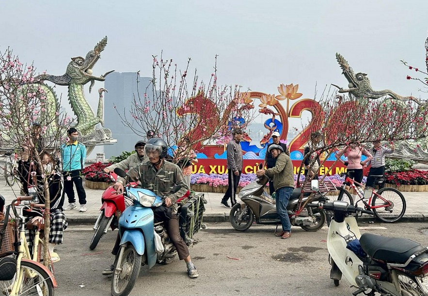 Đào quất xuống phố, Hà Nội rực rỡ sắc Xuân Bính Ngọ