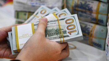 Tỷ giá USD hôm nay (13/2): Thế giới tiếp đà tăng,"chợ đen" biến động trái chiều