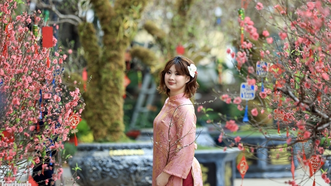 Sắc đào rực rỡ tại vườn hoa Lý Thái Tổ