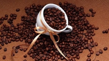 Ngày 15/2: Giá cà phê tăng mạnh, hồ tiêu neo cao ở mức 150.500 đồng/kg