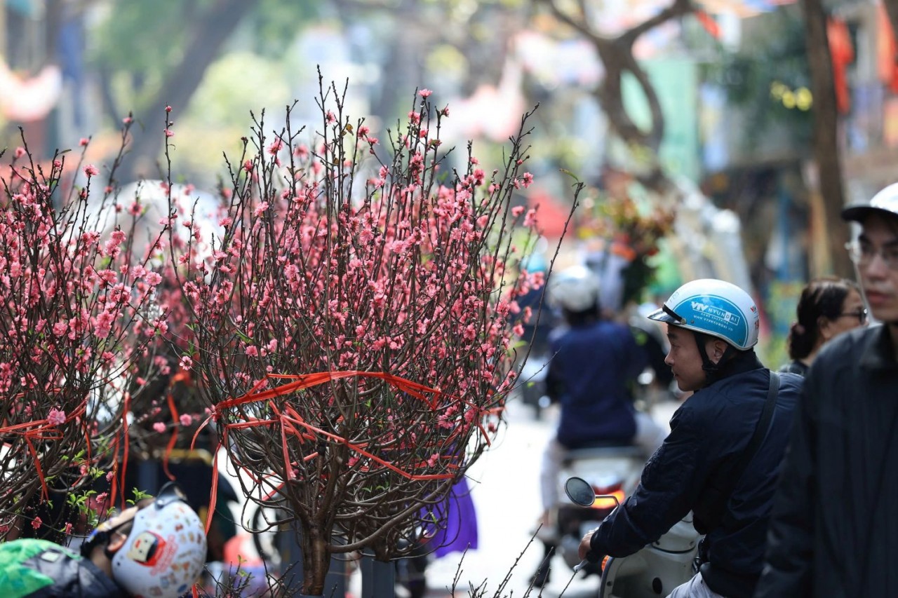 Giá cả thị trường hàng hóa vận hành an toàn, cân đối Giá cả thị trường hàng hóa vận hành an toàn, cân đối