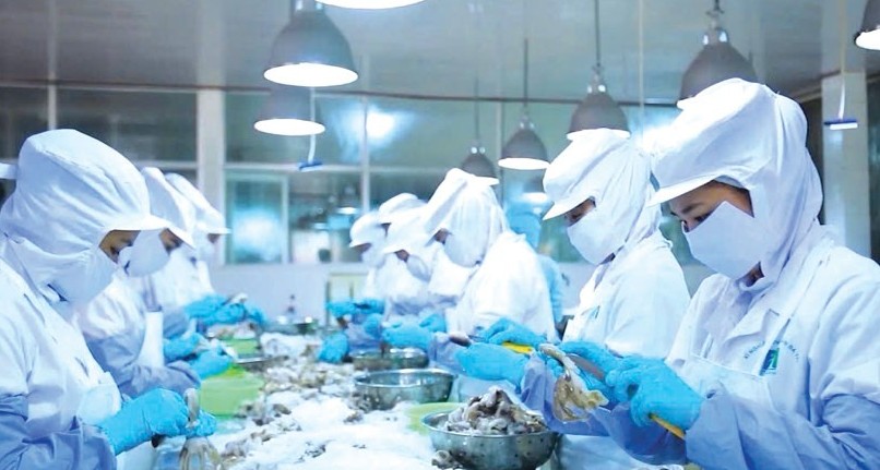 Doanh nghiệp vượt khó, Tết ấm no nhờ “bệ đỡ” tài chính công