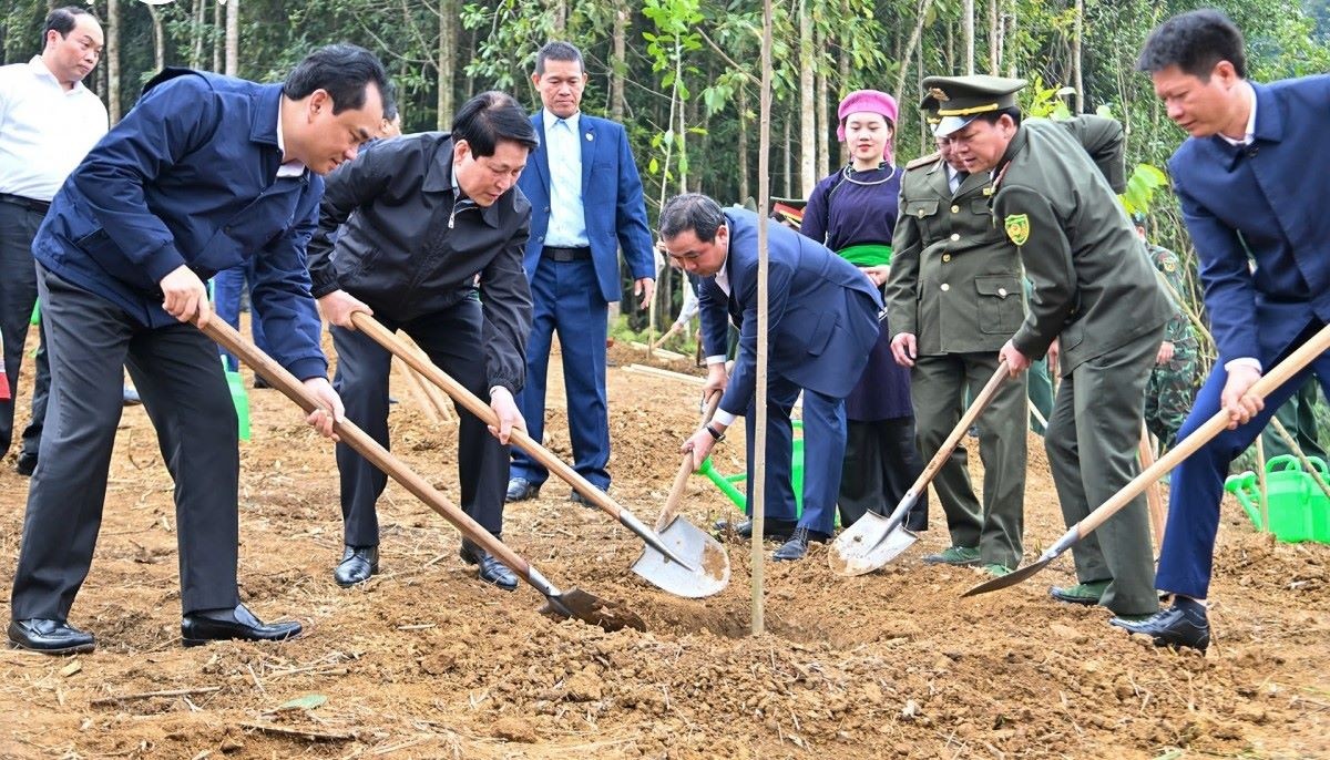 Chủ tịch nước Lương Cường phát động "Tết trồng cây đời đời nhớ ơn Bác Hồ” Xuân Bính Ngọ năm 2026