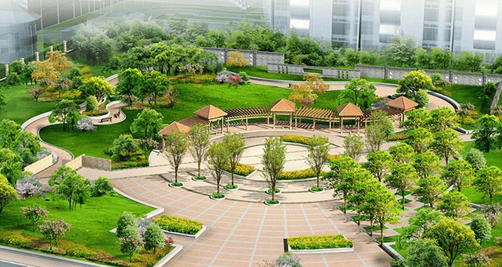 Siết kỷ luật quản lý tài sản công viên, cây xanh