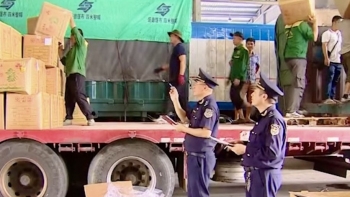 Xuất nhập khẩu biên giới phía Bắc sôi động trở lại, tín hiệu tăng trưởng tích cực đầu năm