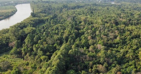 Bộ Nông nghiệp và Môi trường là cơ quan duy nhất cấp mã trong nước cho hạn ngạch phát thải và tín chỉ carbon