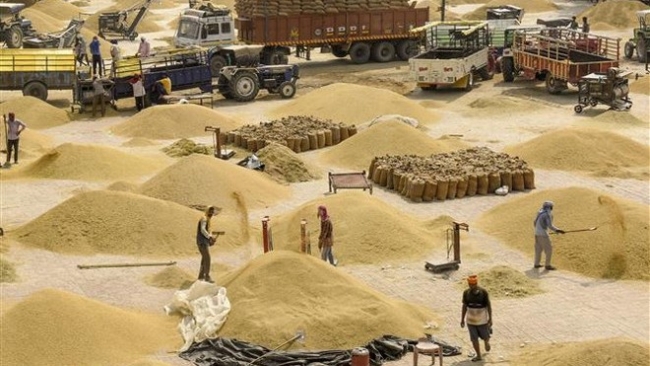 thi truong nong san tuan qua gia gao chau a chiu ap luc tu ca phi a cung va cau