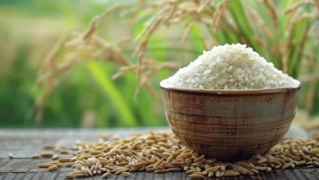 Ngày 1/3: Giá gạo trong nước và xuất khẩu đồng loạt đi ngang