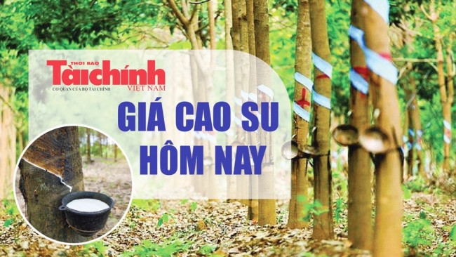 Ngày 2/3: Giá cao su trên Sàn Giao dịch Hàng hóa Thượng Hải giảm