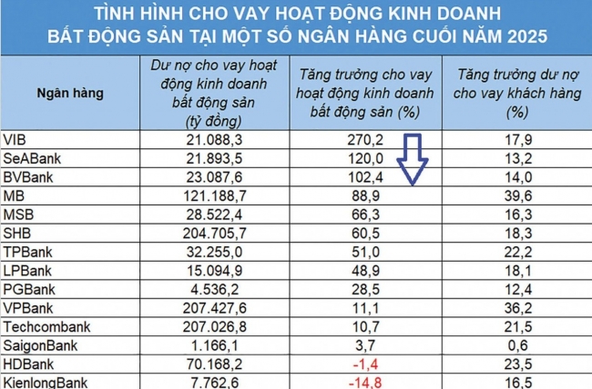 Tín dụng đổ mạnh vào bất động sản, nhiều nhà băng chủ động "rà phanh"