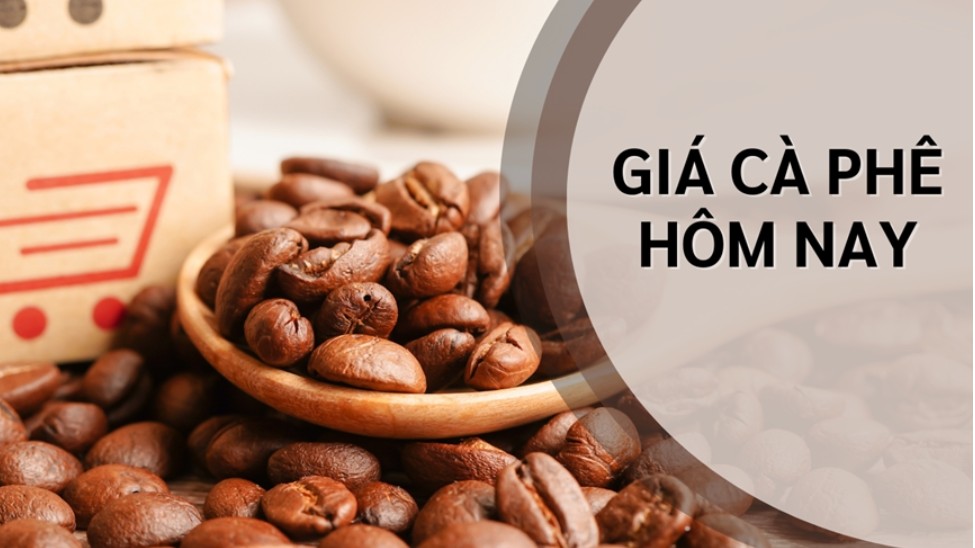 Ngày 10/3: Giá cà phê không biến động, hồ tiêu neo ở mức cao