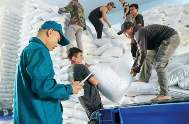 xuat cap hon 49000 tan gao ho tro hoc vien hoc sinh