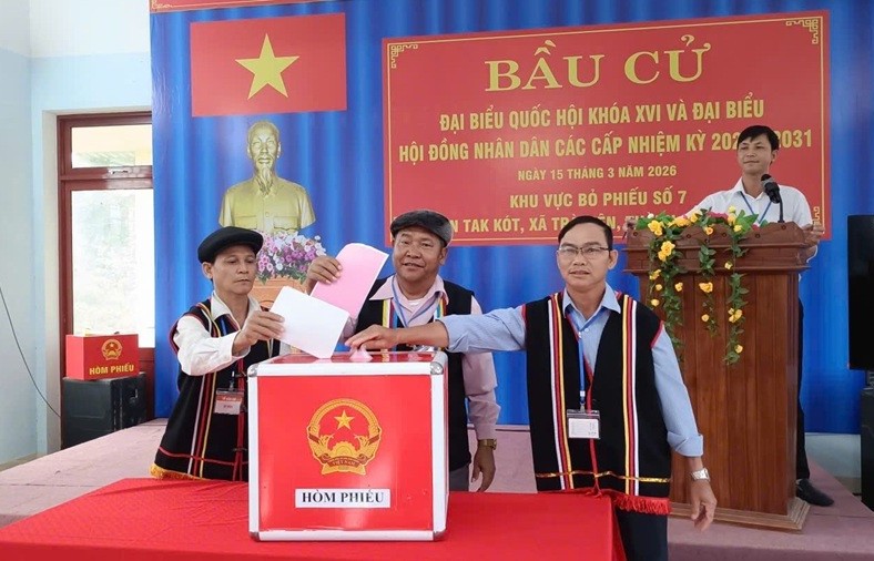 den 20h ngay 153 ty le cu tri ca nuoc di bau cu dat 9938