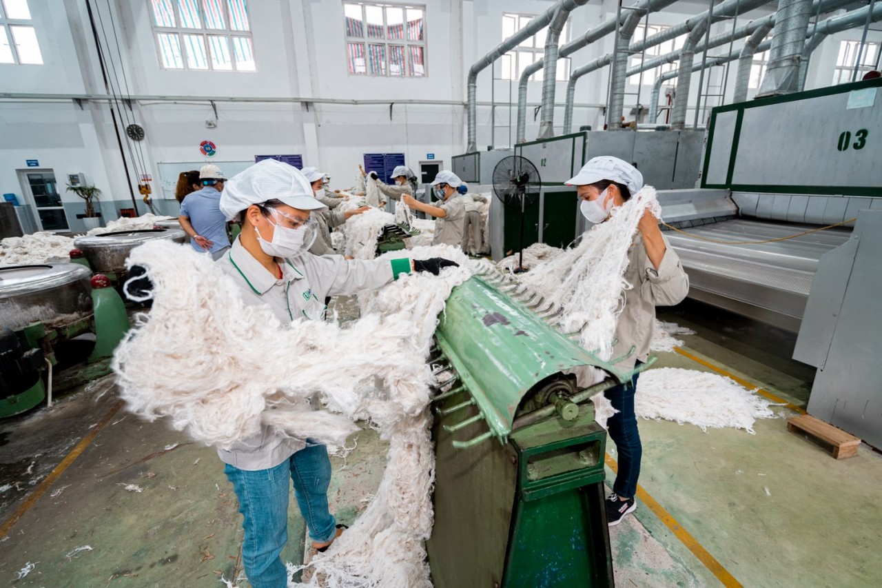 MSB “siết nợ” nhà máy sợi dệt 40.000 m2 của Công ty An Phước MSB “siết nợ” nhà máy sợi dệt 40.000 m2 của Công ty An Phước