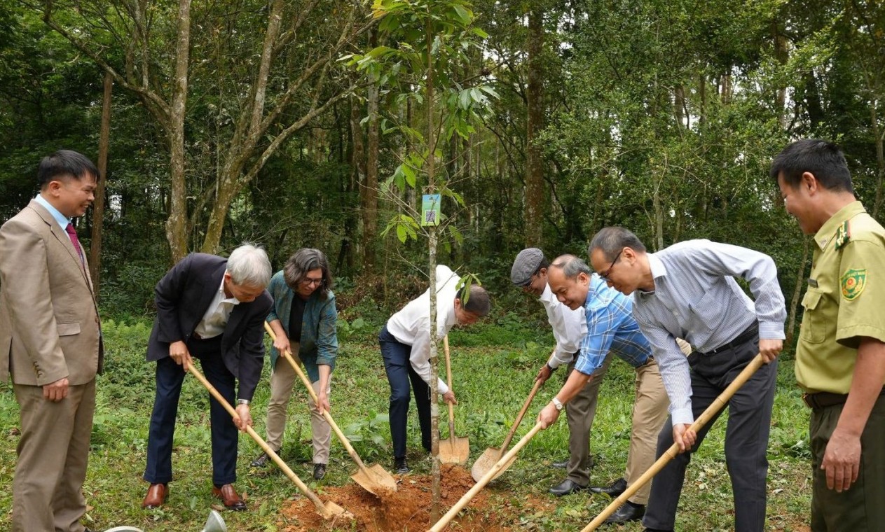 Rừng là nền tảng cho tăng trưởng xanh và sinh kế lâu dài