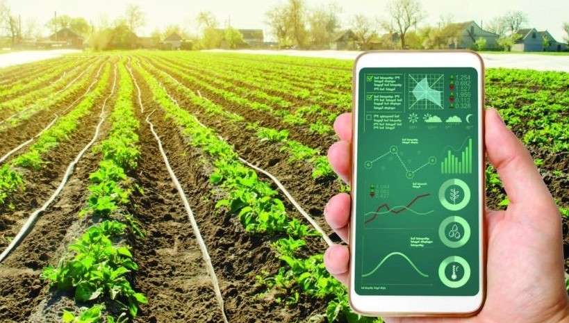 Ngành Nông nghiệp và Môi trường hướng tới bứt phá 2026, kêu gọi doanh nghiệp thích ứng và chuyển đổi xanh