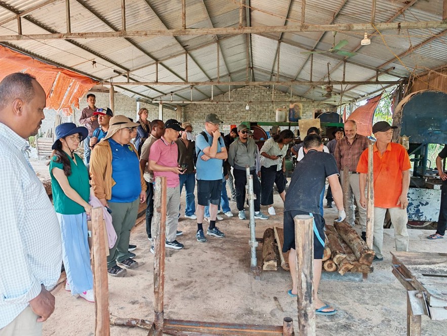 Phục hồi rừng từ cộng đồng: Kết nối sinh kế, lan tỏa giá trị kinh tế bền vững