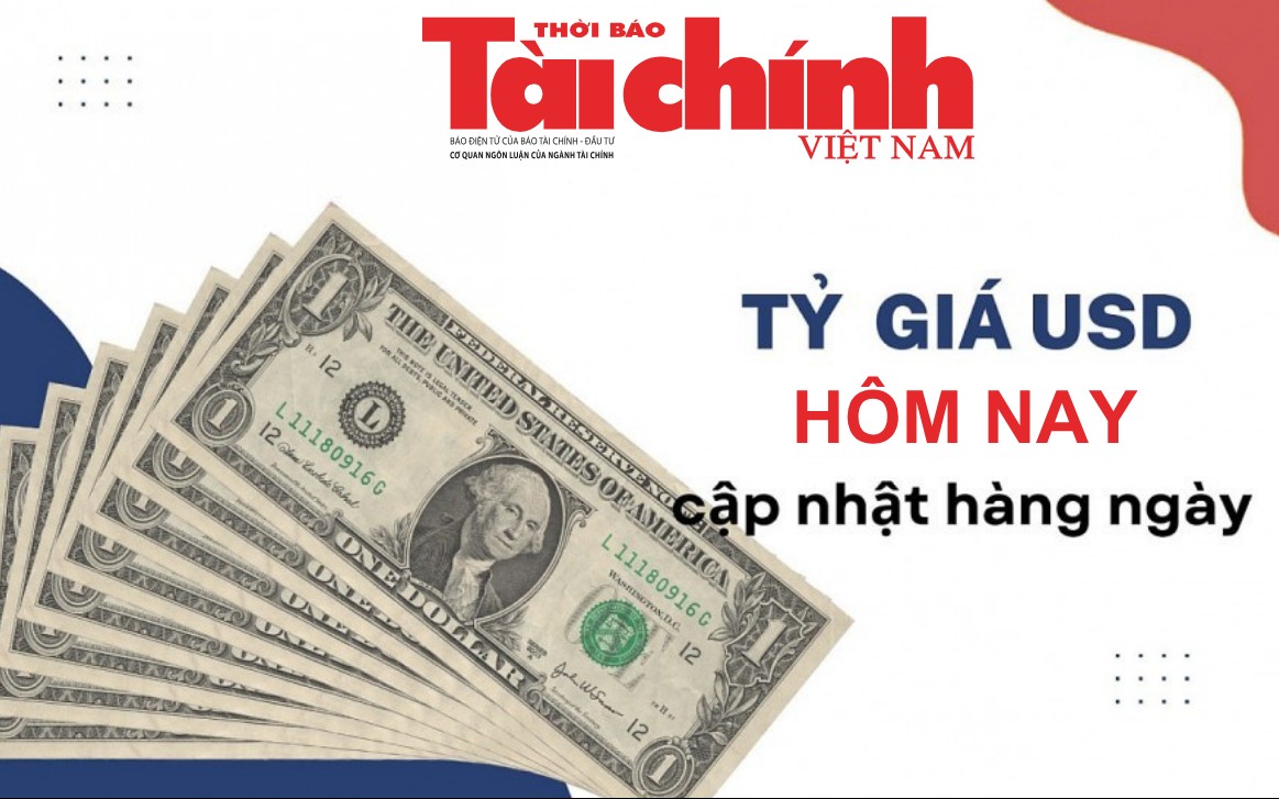 Tỷ giá USD hôm nay (12/8): Tỷ giá trung tâm tăng lên 25.539 đồng, giá dầu tăng kỳ vọng Fed thắt chặt trở lại