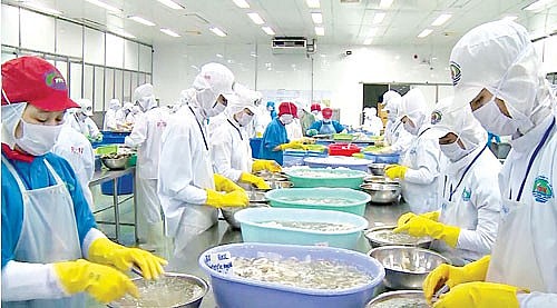 Để nông nghiệp sớm hồi phục trong “trạng thái bình thường mới”