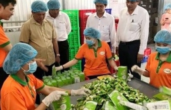 Thuế Trà Vinh: Khởi sắc thu ngân sách khi dịch được kiểm soát