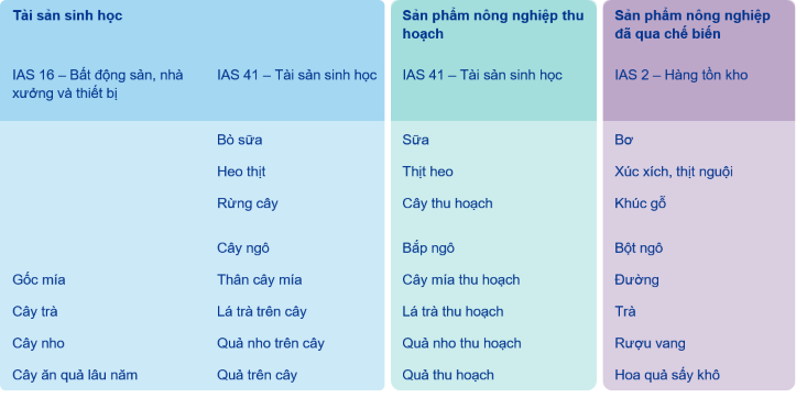 Báo cáo tài sản sinh học trong hoạt động nông nghiệp theo chuẩn mực báo cáo tài chính quốc tế IFRS