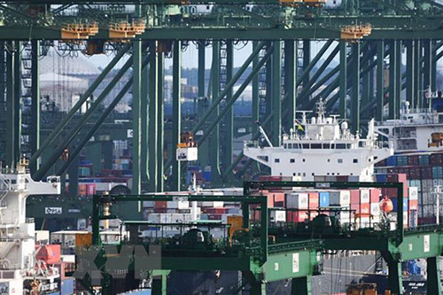 Bốc dỡ container hàng hóa tại cảng Pasir Panjang ở Singapore.