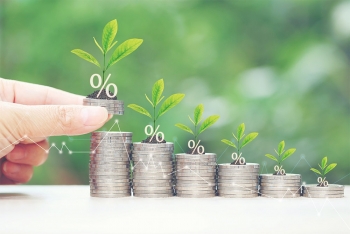 Energy sector in need of blended finance mechanisms