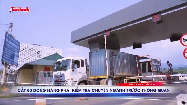 Sự kiện thuế - hải quan tuần 1/3-15/3/2024