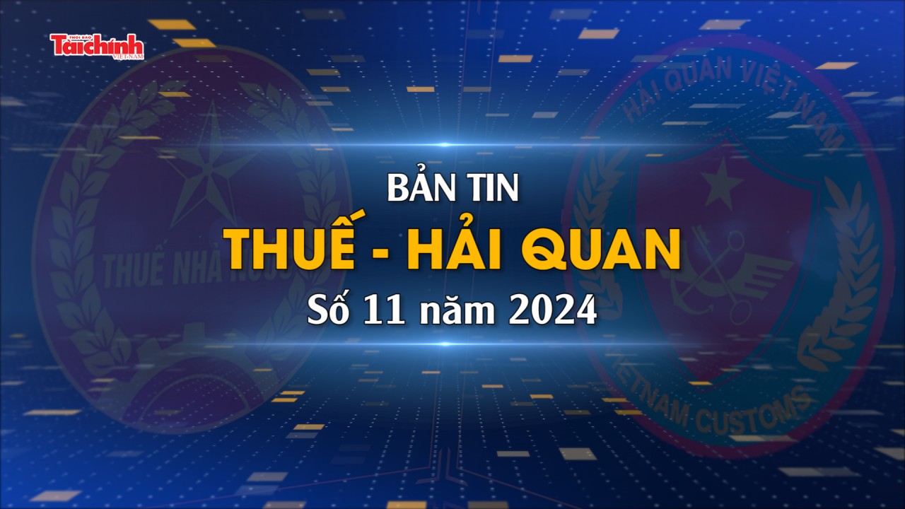 Bản tin Thuế - Hải quan số 11/2024
