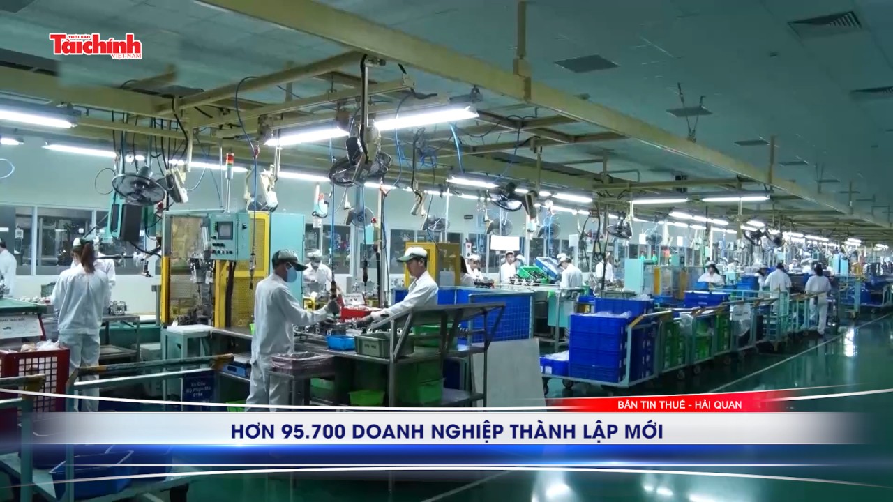 Sự kiện thuế - hải quan tuần 1/8-15/8/2024